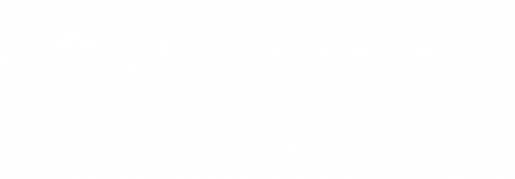 Logo Bizkarra