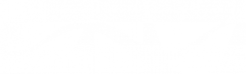 Logo Ziv