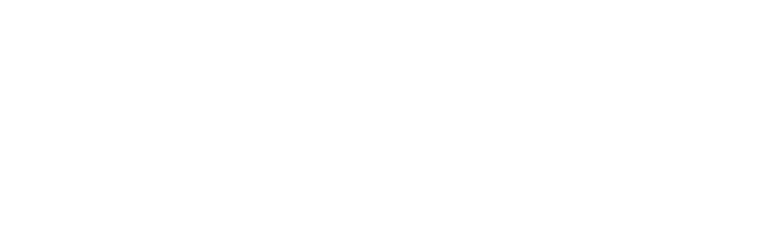 Logo Ziv