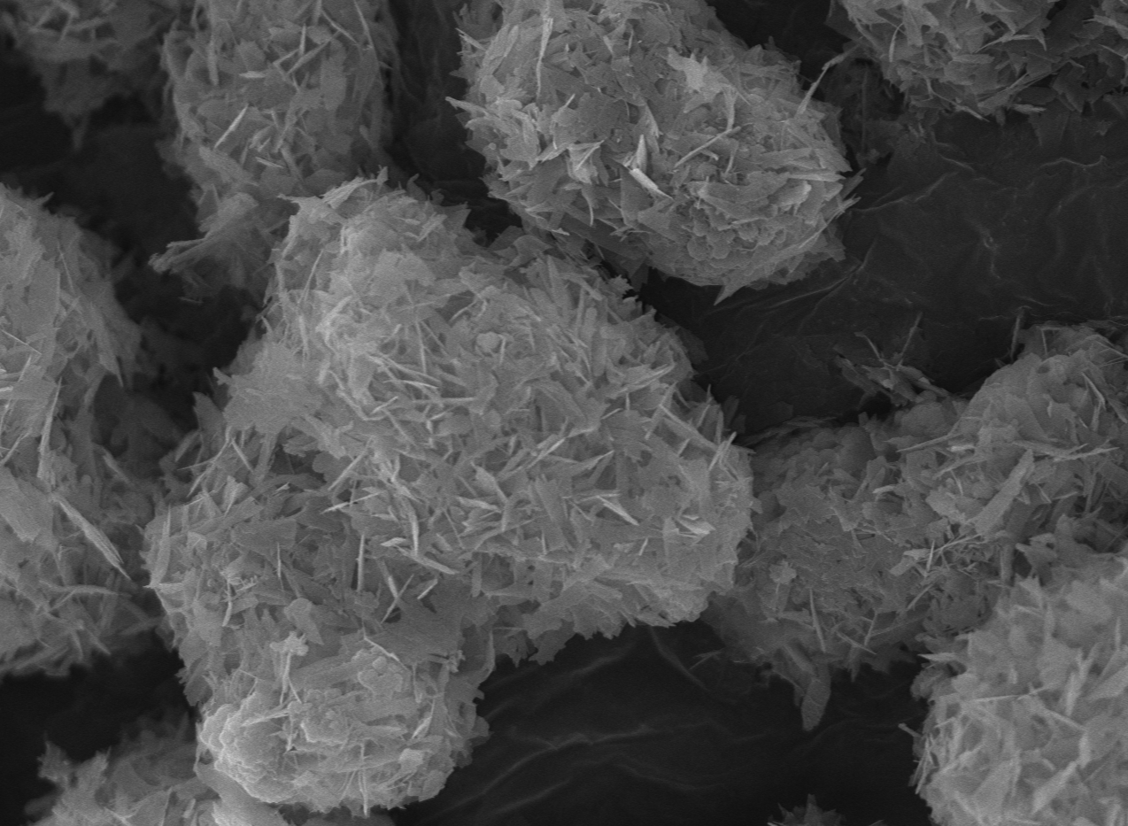 Nanoseed