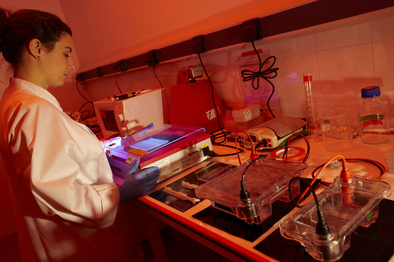 Análisis de ausencia de DNAsa RNAsa y ADN en fungibles de laboratorio