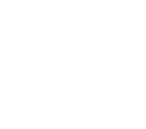 Arteche