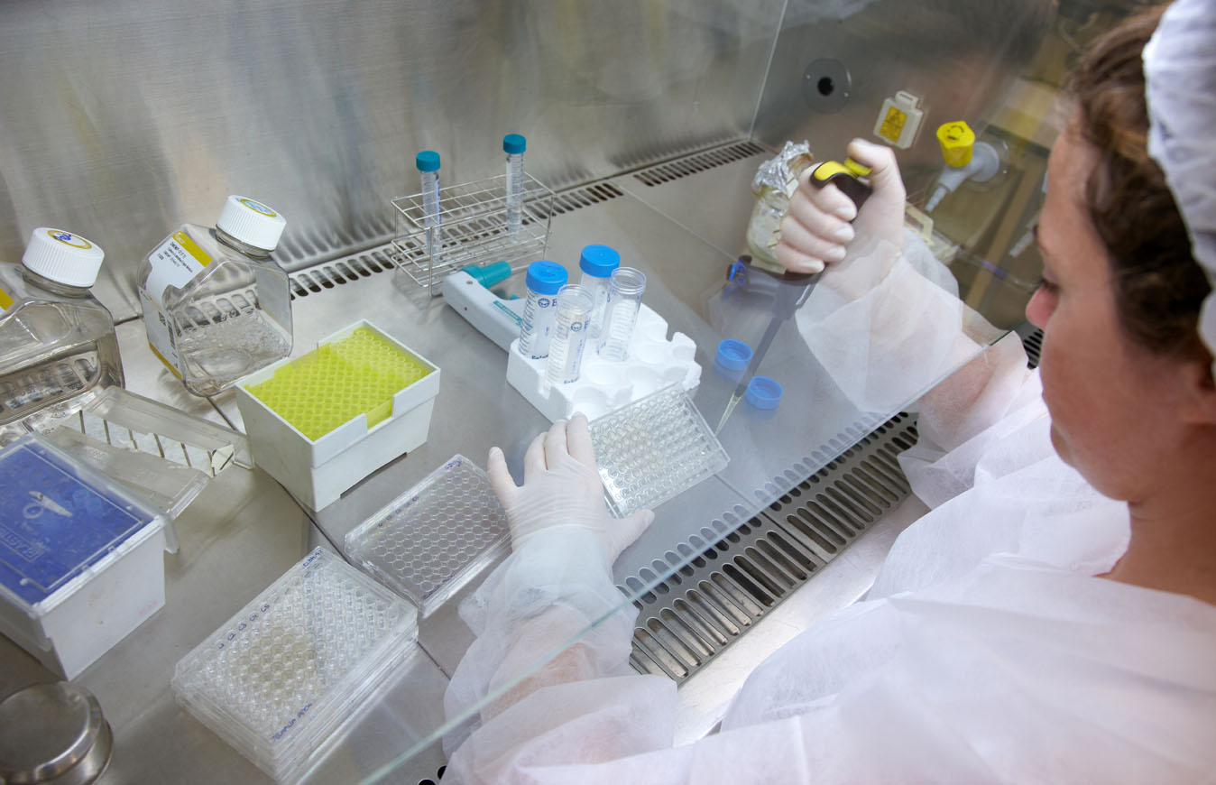 una plataforma abierta para LA mejora y explotación en el mercado de dispositivos médicos y de diagnóstico basados en nanotecnología.