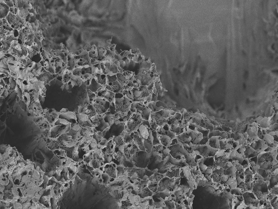 Nanomateriales-SEM-aerogel