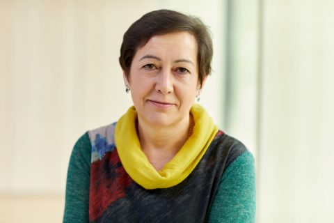 Mari Carmen Villarán, PhD