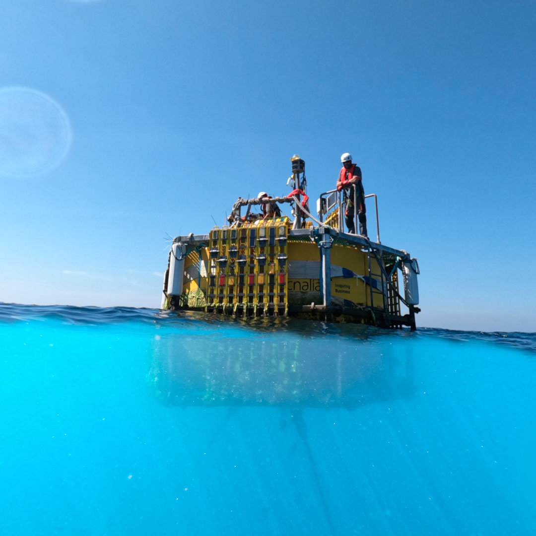 Presentación de “Innovation Platform: ISSS Sustainable Sea and Ocean Solutions"