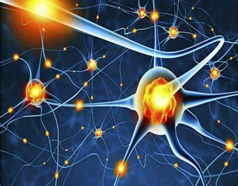 Investigamos en un biomaterial innovador para la regeneración neuronal