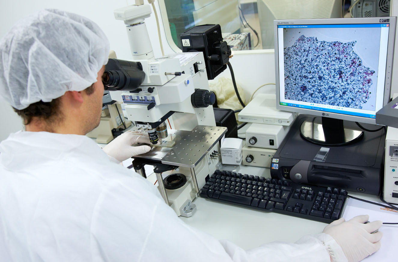 Regeneración de la medula espinal a través de un innovador biomateria