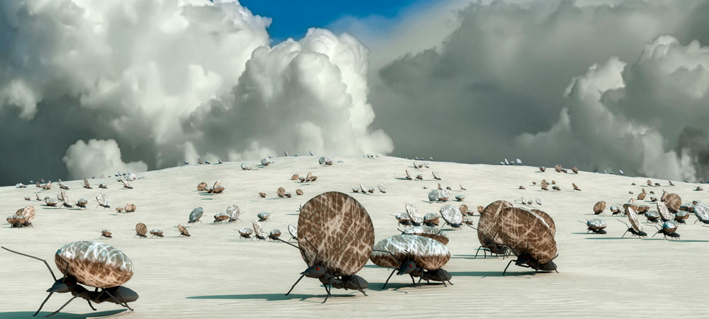 Hacia un nuevo modelo de ciencia colaborativa basada en la naturaleza