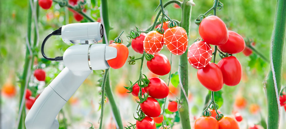 La transformación digital en la agricultura