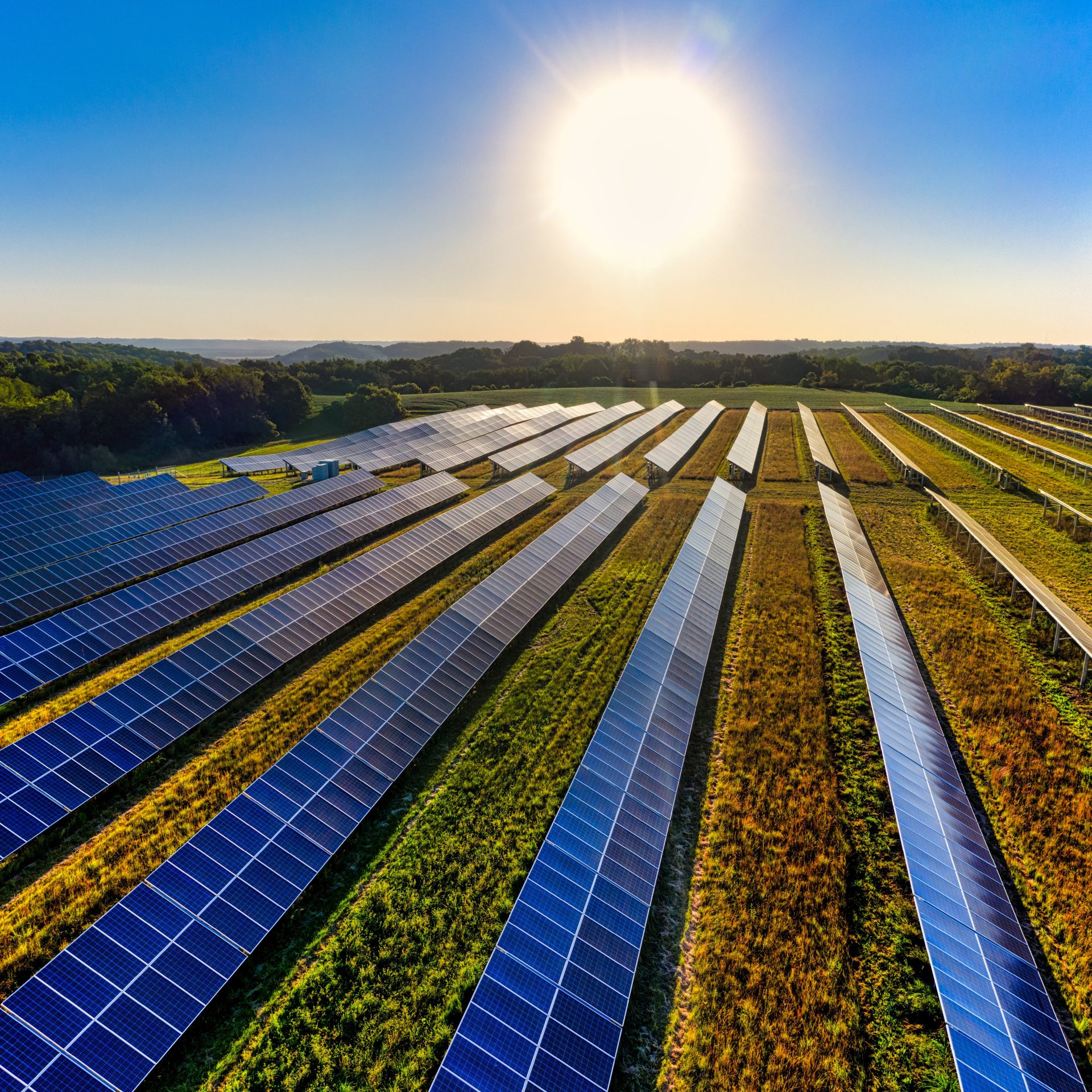 Energía solar fotovoltaica en agricultura