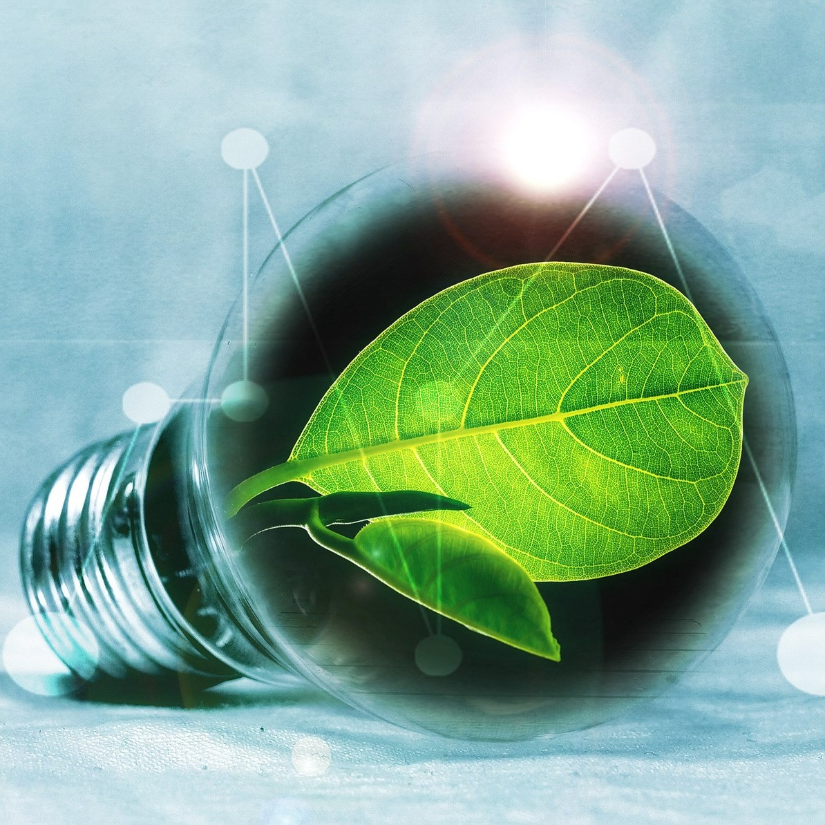 Innovación tecnológica para una transición ecológica