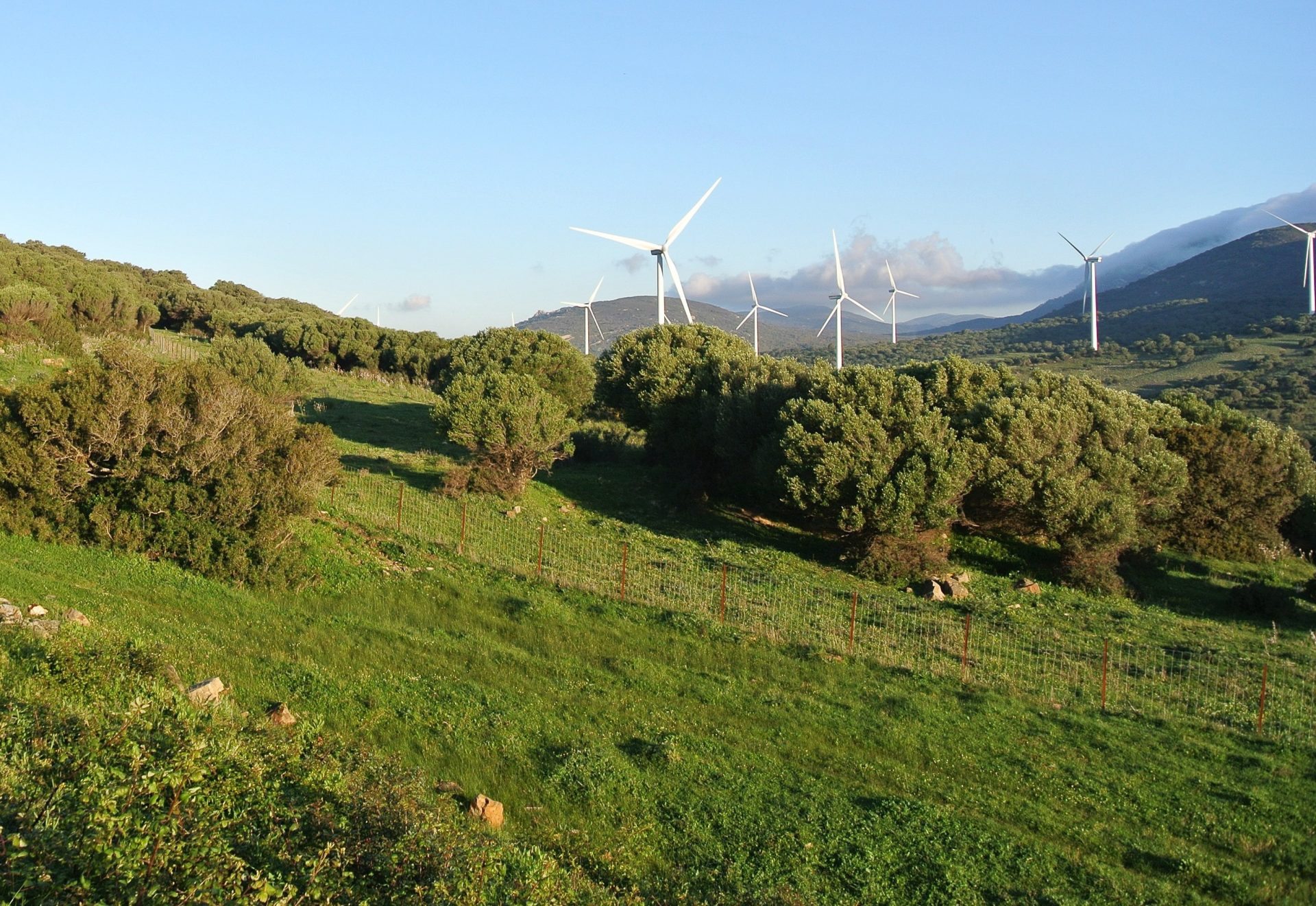 Descarbonización y transición energética