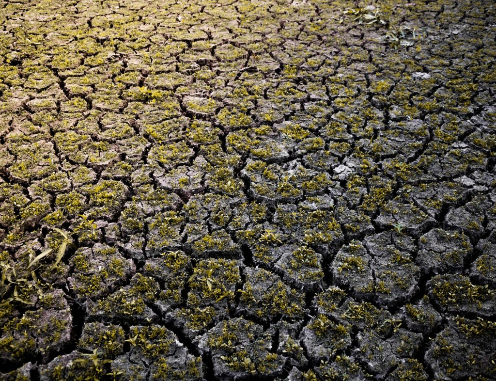 Nueva guía para la evaluación de riesgos del cambio climático