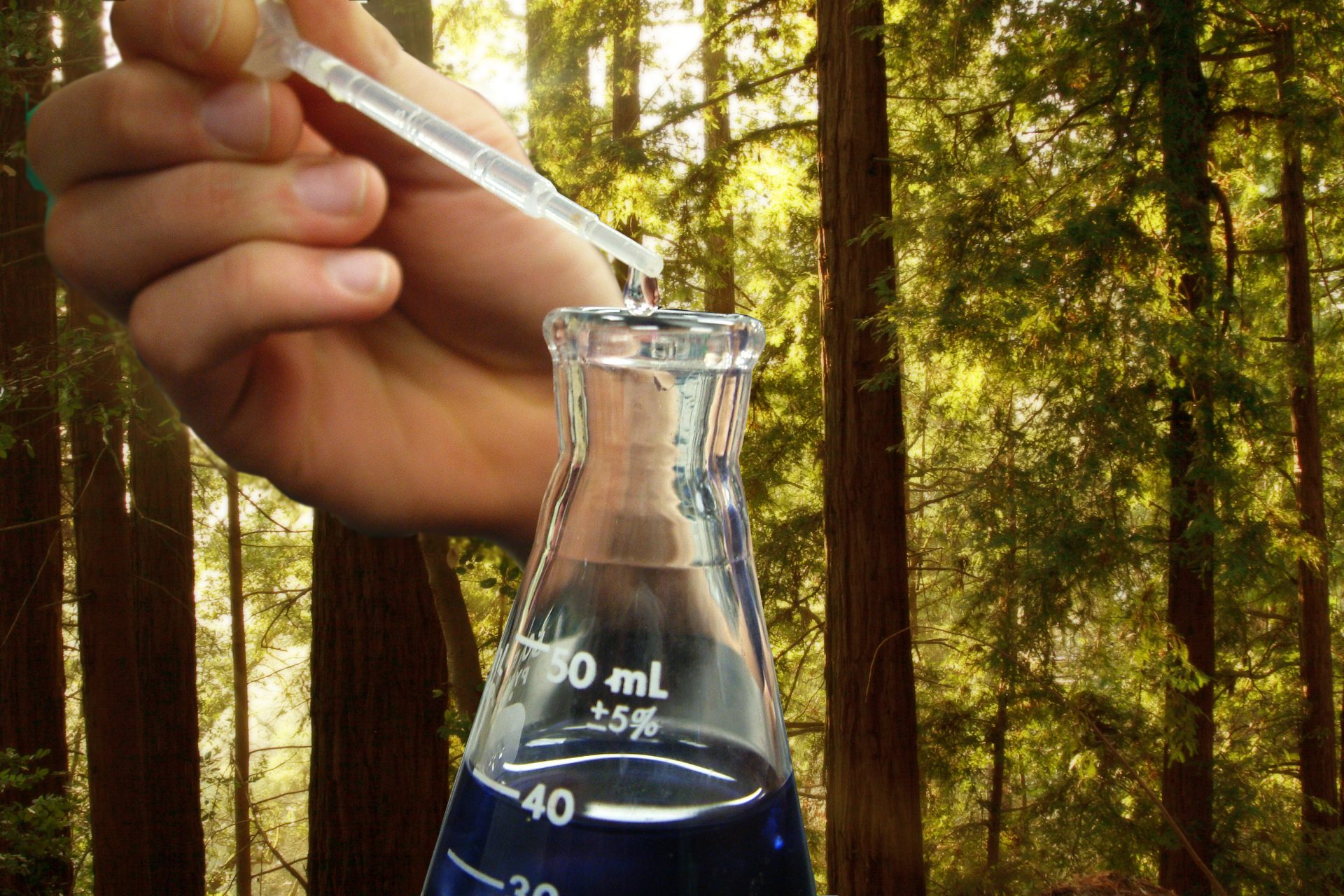 Biomasa y CO2, alternativas a las materias primas de origen fósil