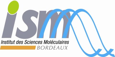 logo ISM