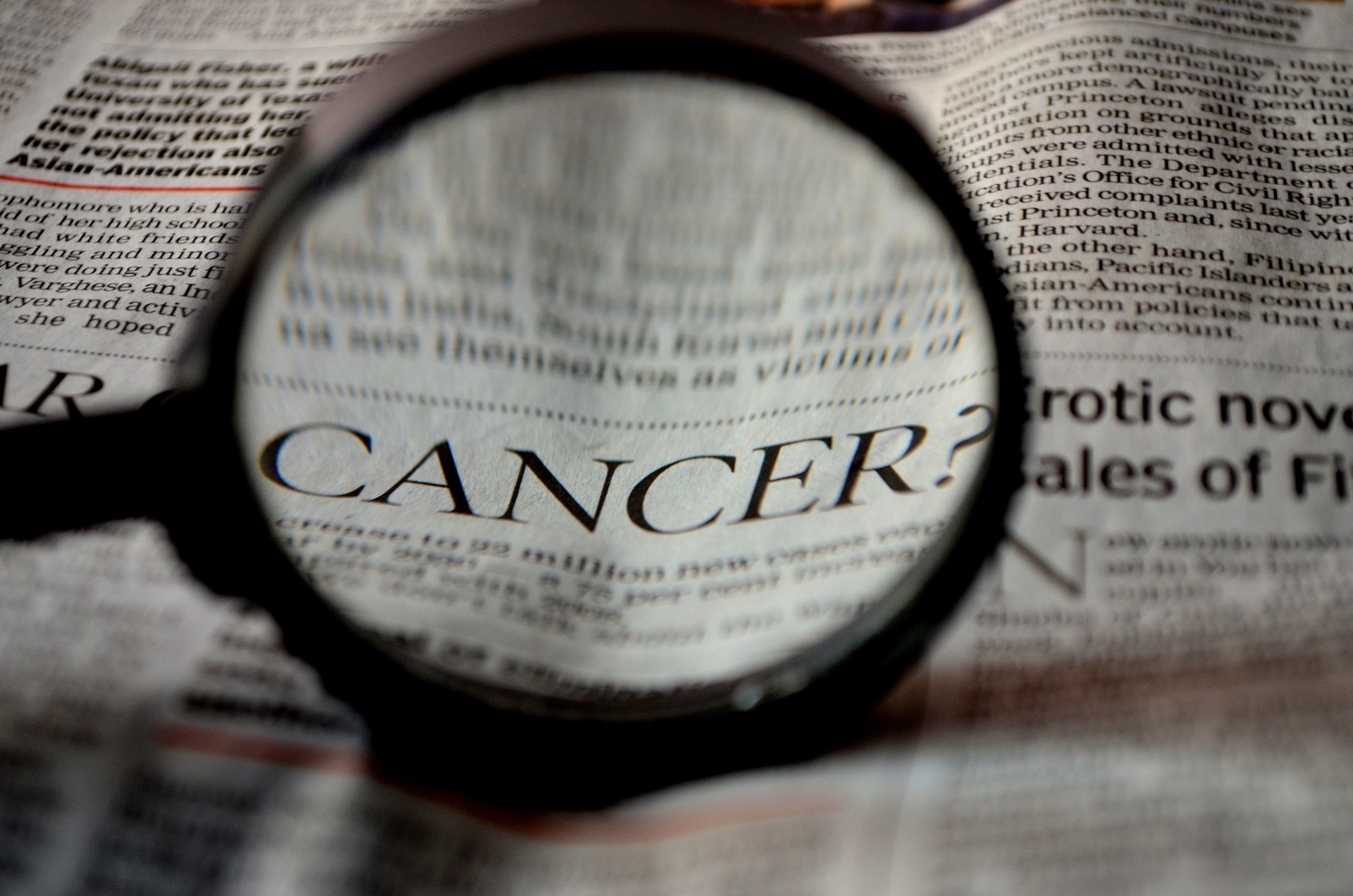 Red europea para investigación en cáncer