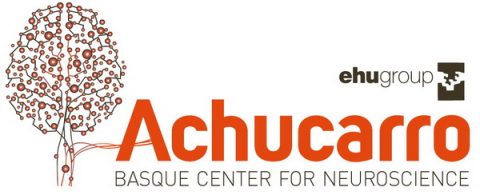 Achucarro