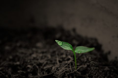 Sostenibilidad y tecnología para preservar el Planeta
