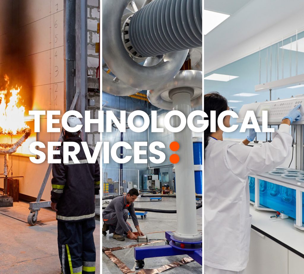Put the future to the test with our Technological Services.