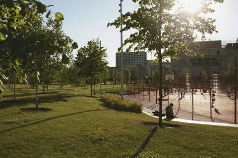Integramos la adaptación al cambio climático en procesos de planificación urbana