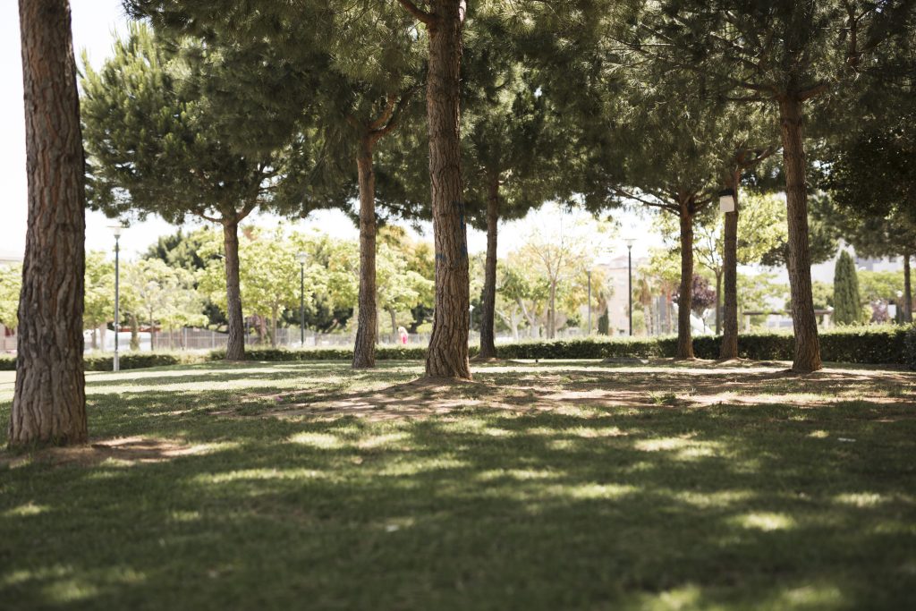 Parque urbano
