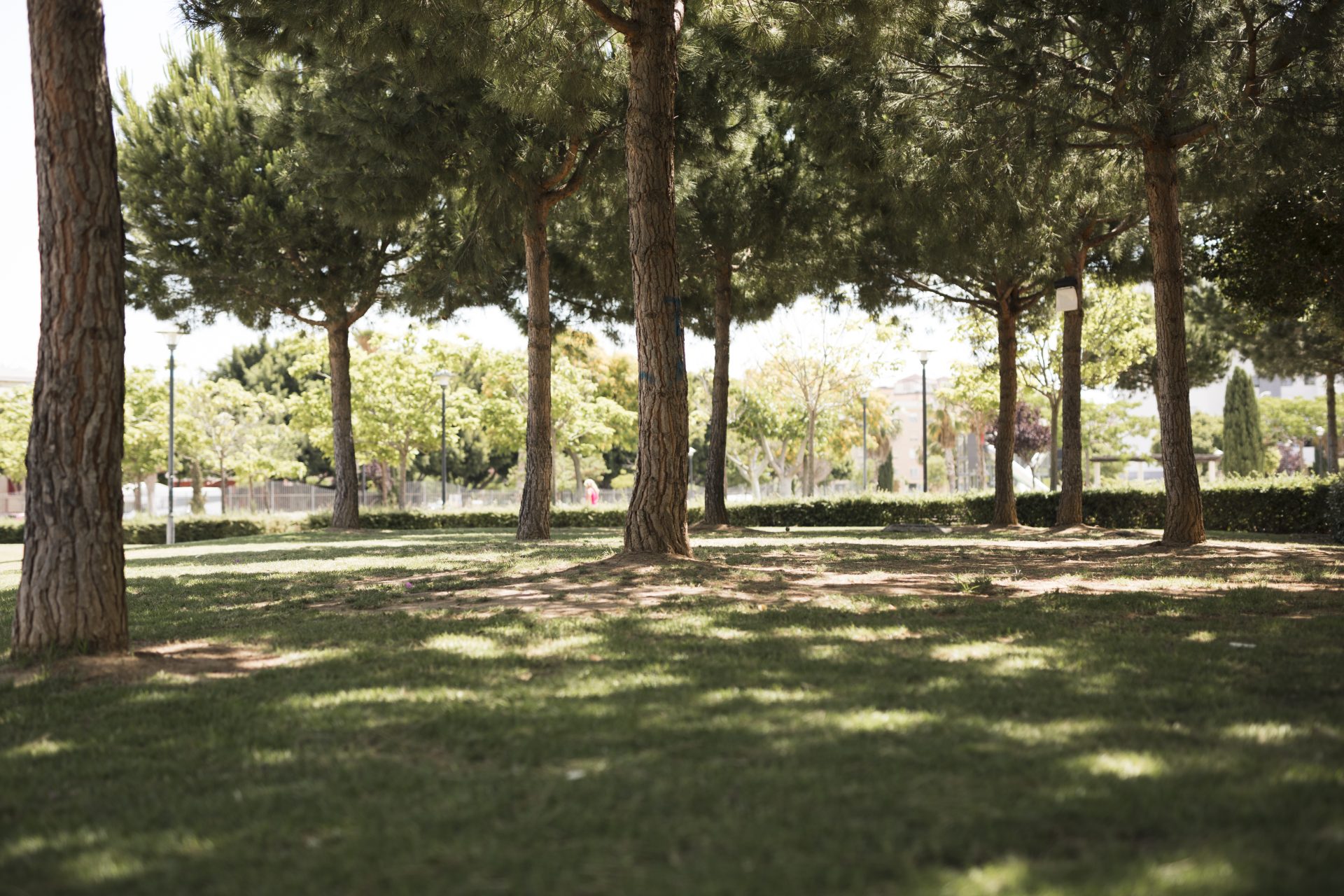 Parque urbano