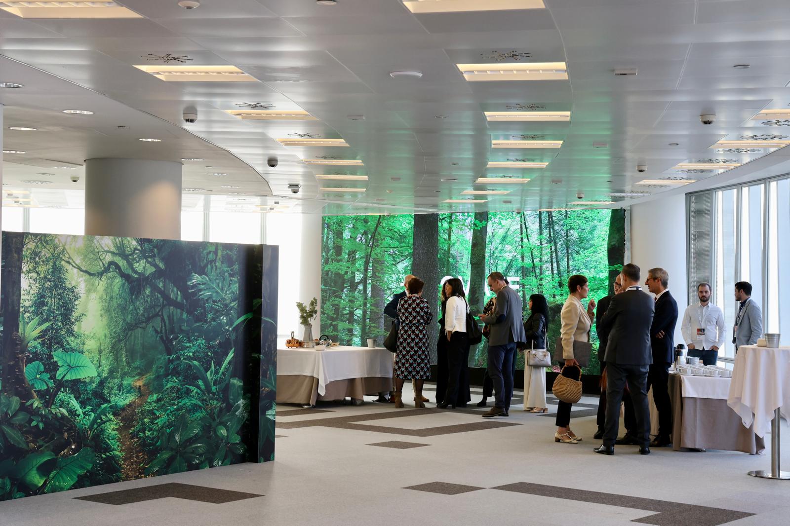 Recepción y recogida de los accesos