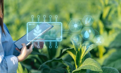 Transición hacia un sector agroalimentario más competitivo y sostenible