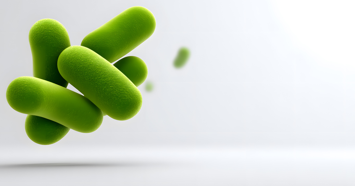 caracterizamos comunidades microbianas