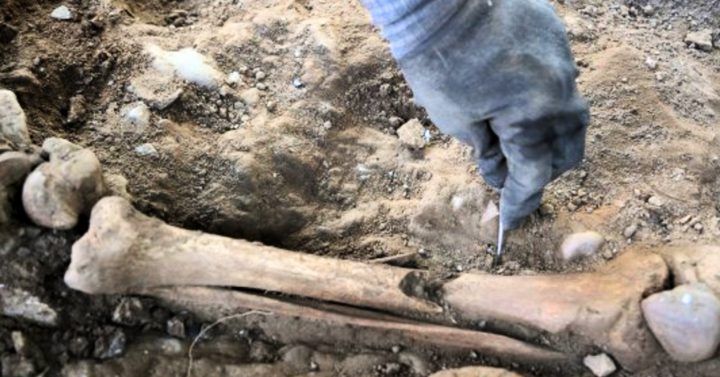 TECNALIA Laboratorio Genética análisis restos oseos