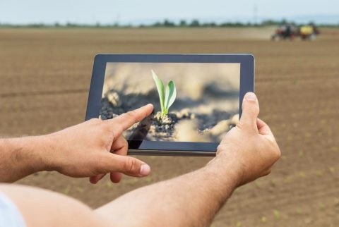Agricultura 5.0: IA y fotónica para una agroalimentación sostenible