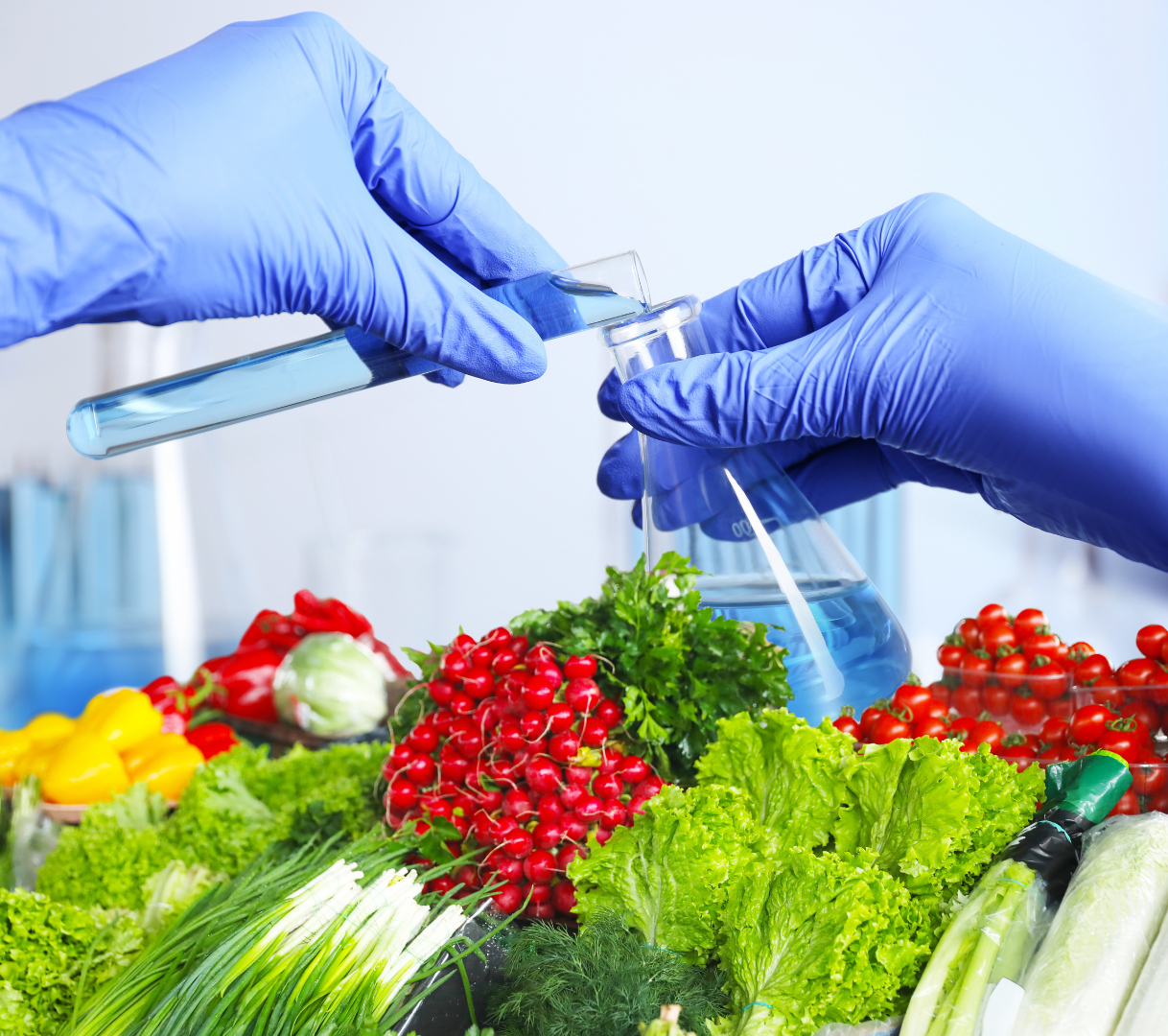 transformación alimentaria en Food 4 Future