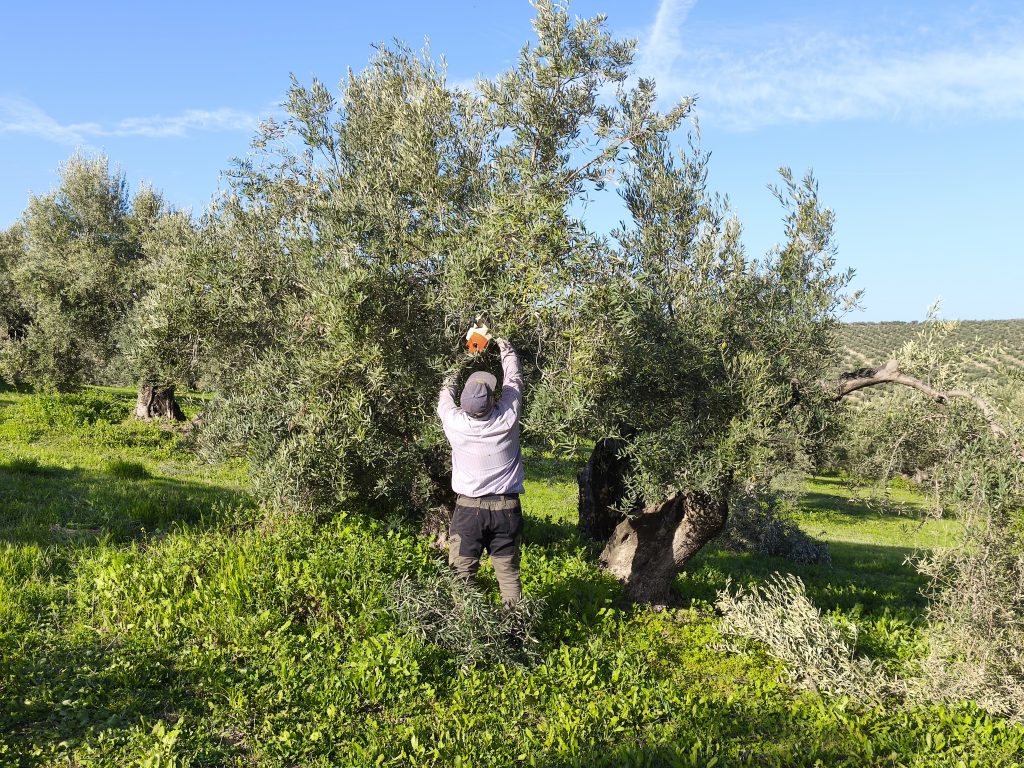 Agricultura inteligente