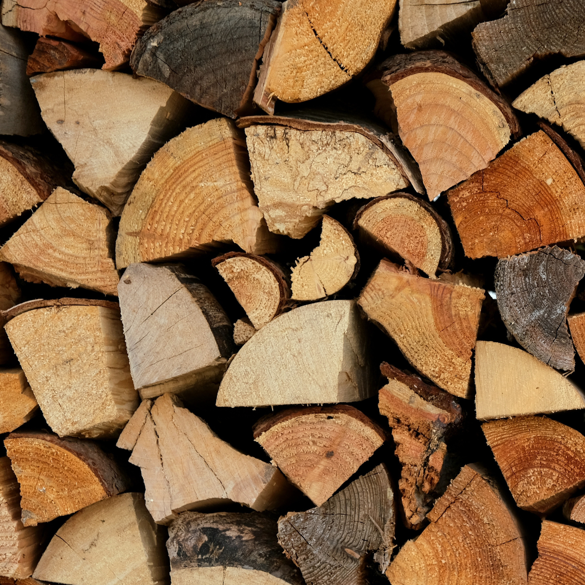 polímeros_alto_rendimiento_biomasa