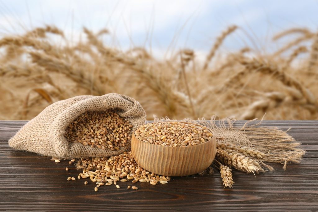 Formación: Economía circular aplicada a la industria del cereal