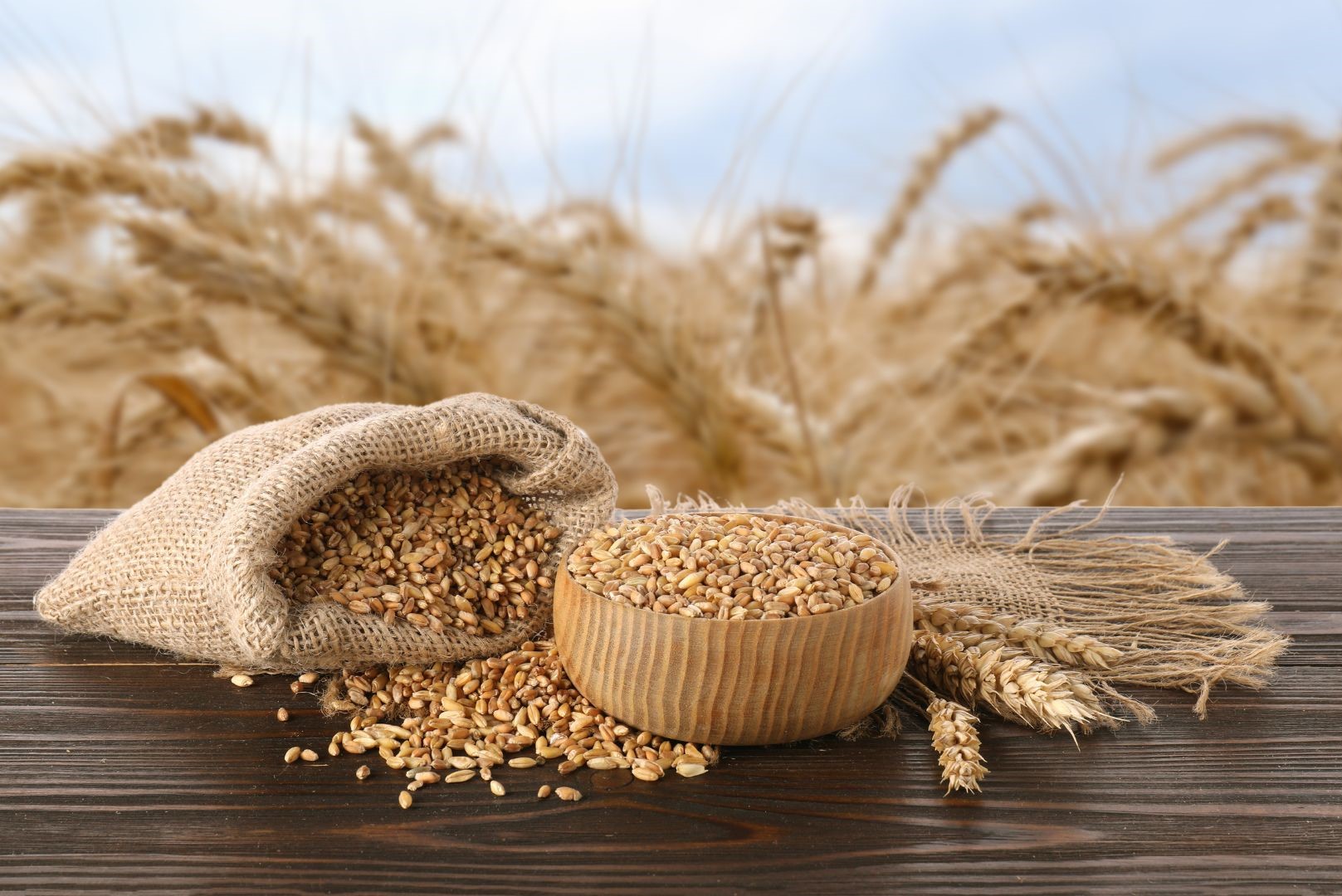 Formación: Economía circular aplicada a la industria del cereal