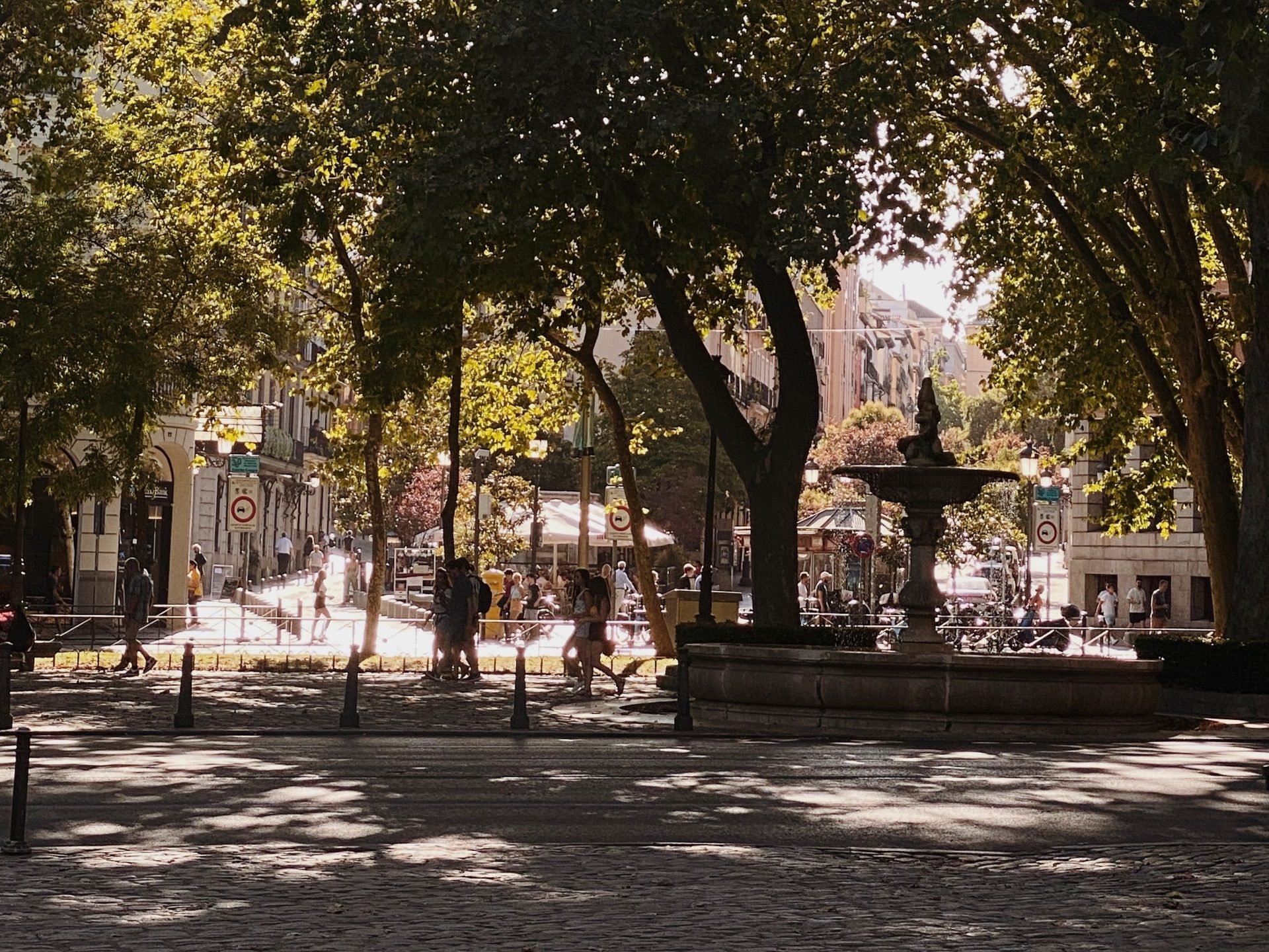 We support cities and regions in their adaptation to heat waves