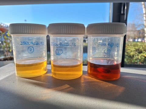 More sustainable, isocyanate-free two-component paints