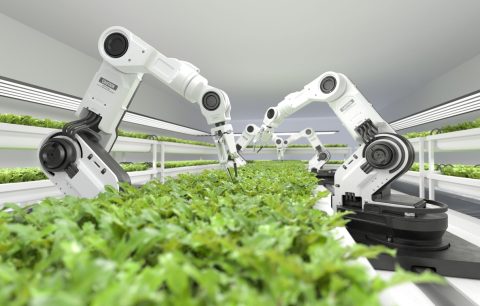 Innovación, IA y sostenibilidad alimentaria: nos vemos en WEFOOD 2026
